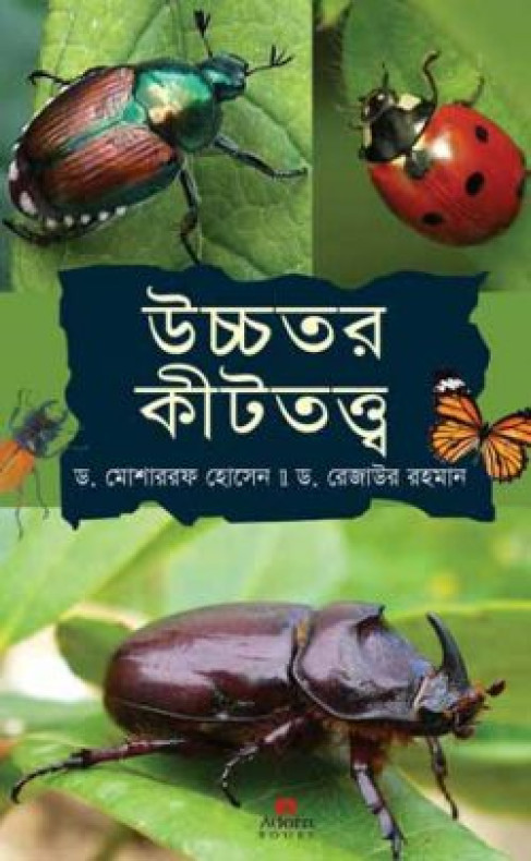উচ্চতর কীটতত্ত্ব