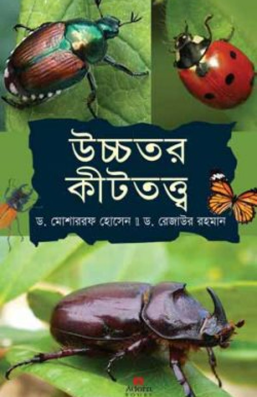 উচ্চতর কীটতত্ত্ব