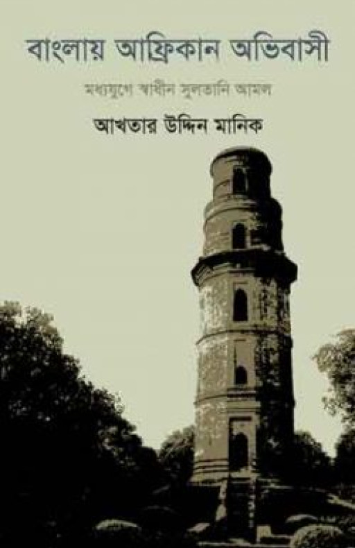 বাংলায় আফ্রিকান অভিবাসী স্বাধীন সুলতানী আমল