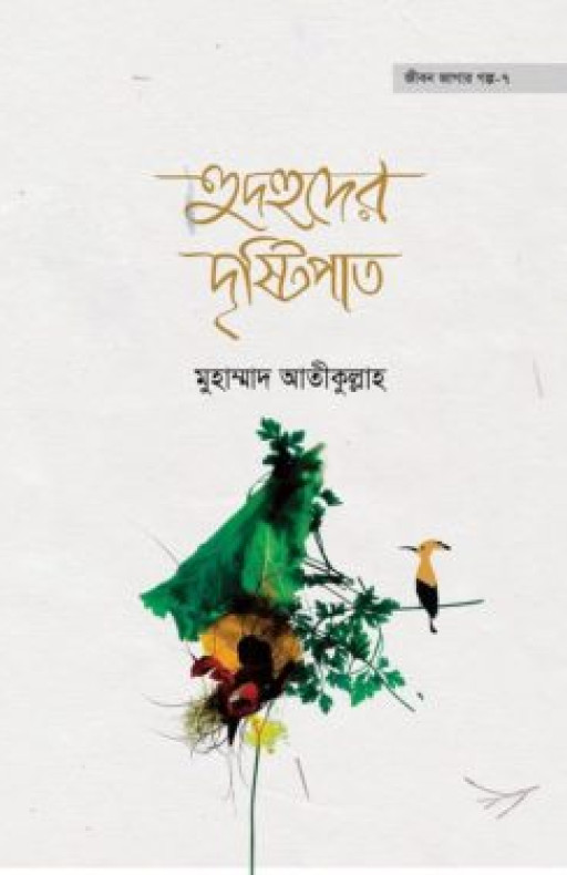 হুদহুদের দৃষ্টিপাত