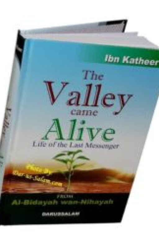 THE VALLEY CAME ALIVE