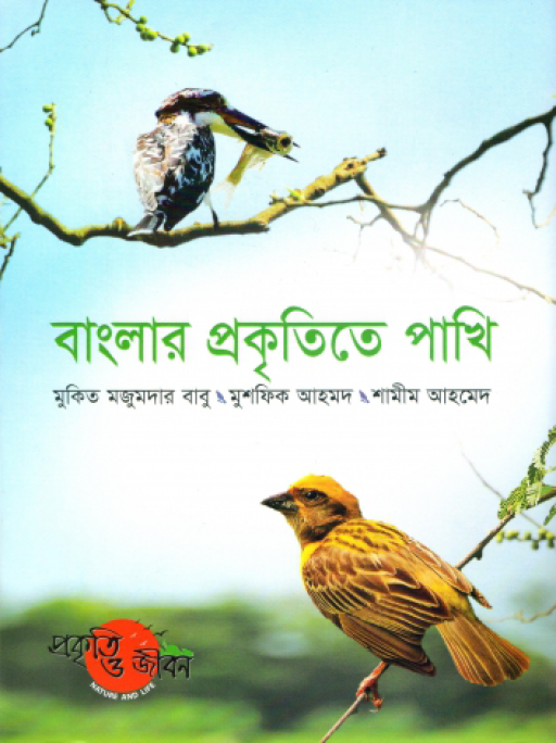 বাংলার প্রকৃতিতে পাখি