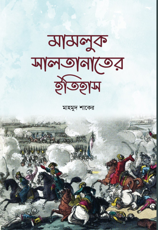 মামলুক সালতানাতের ইতিহাস